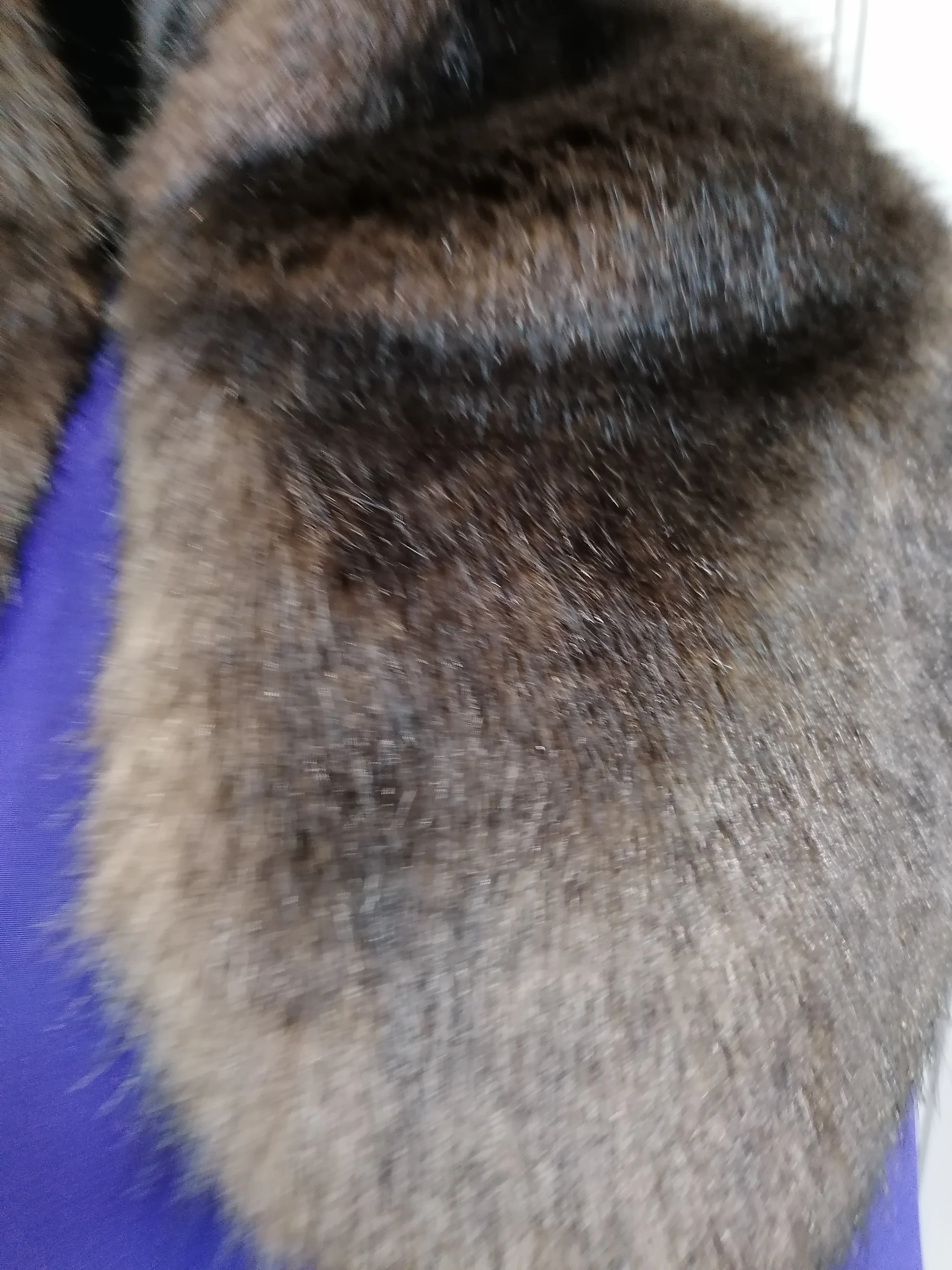Coco treacle collar wrap - Image 2