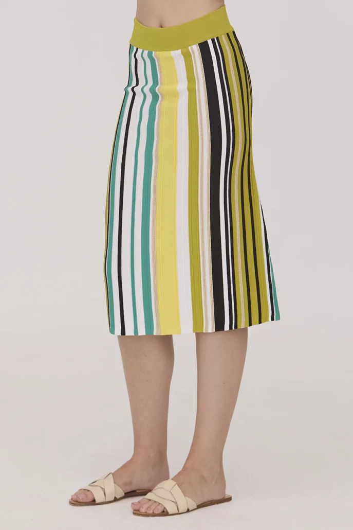 Scorzzo multi striped skirt