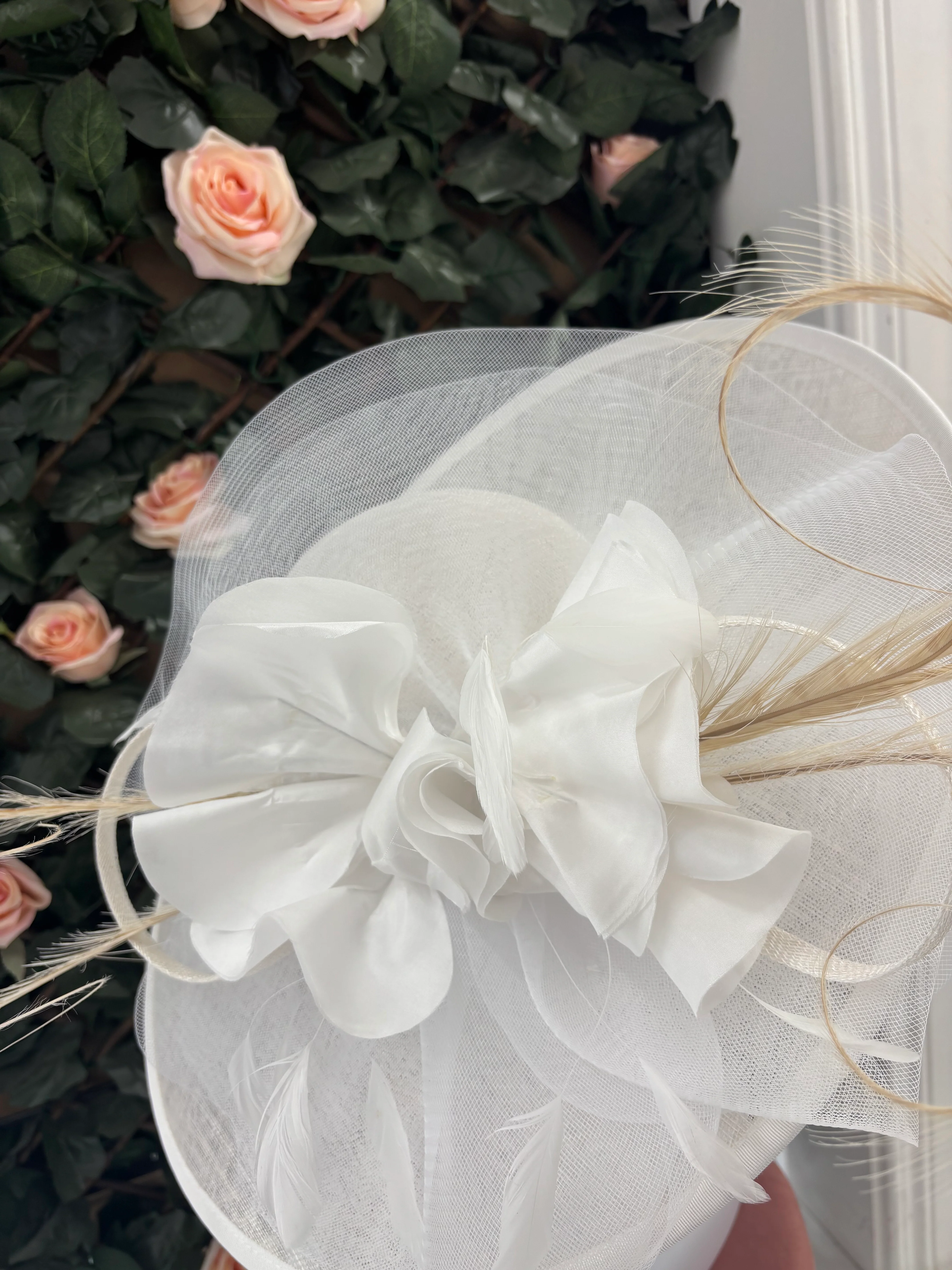 Snoxell & Gwyther 806 in ivory - Image 3